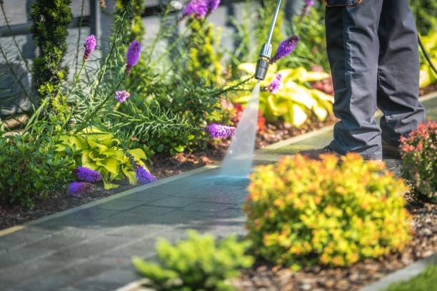 Best Winterizing Services  in Ashtabula, OH